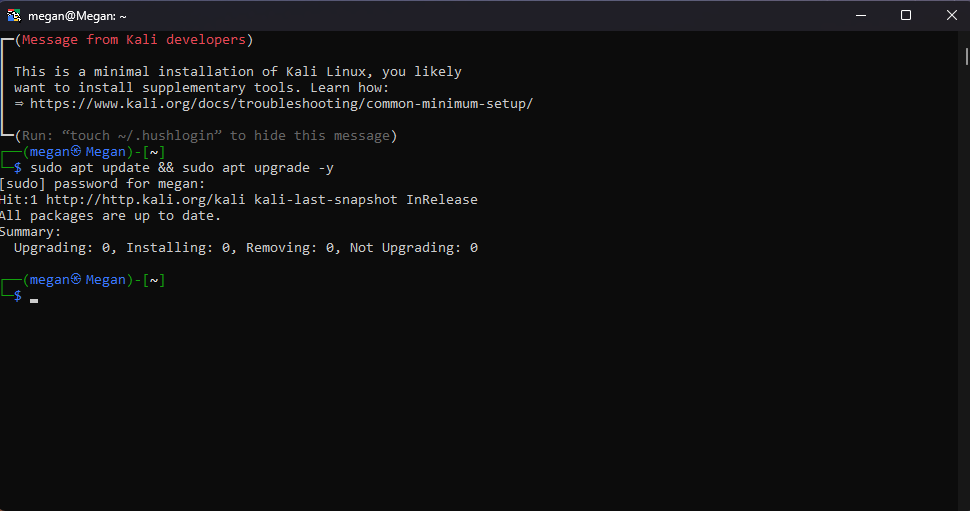 Kali Linux terminal showing package update process
